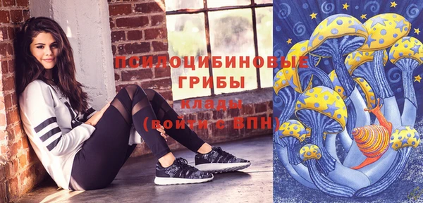 дмт Михайловск
